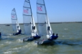 RS200 Endeavour Trophy Mainsail