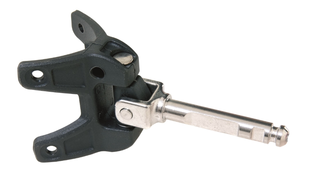 Goosenecks RS Sailing