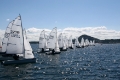 2000 fleet race start upwind